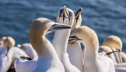 九游电脑版下载-赛季开局遭遇两场惨败 勇士的新赛季比想象中更难