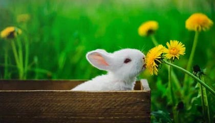 九游电脑版-女足U16少打一人!吴逸羲争抢中踢到对手被罚下,墨西哥随后扳平